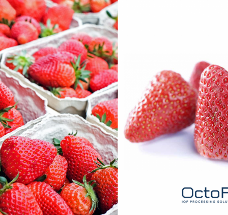 WHY PROCESSORS SHOULD FOCUS ON IQF STRAWBERRIES