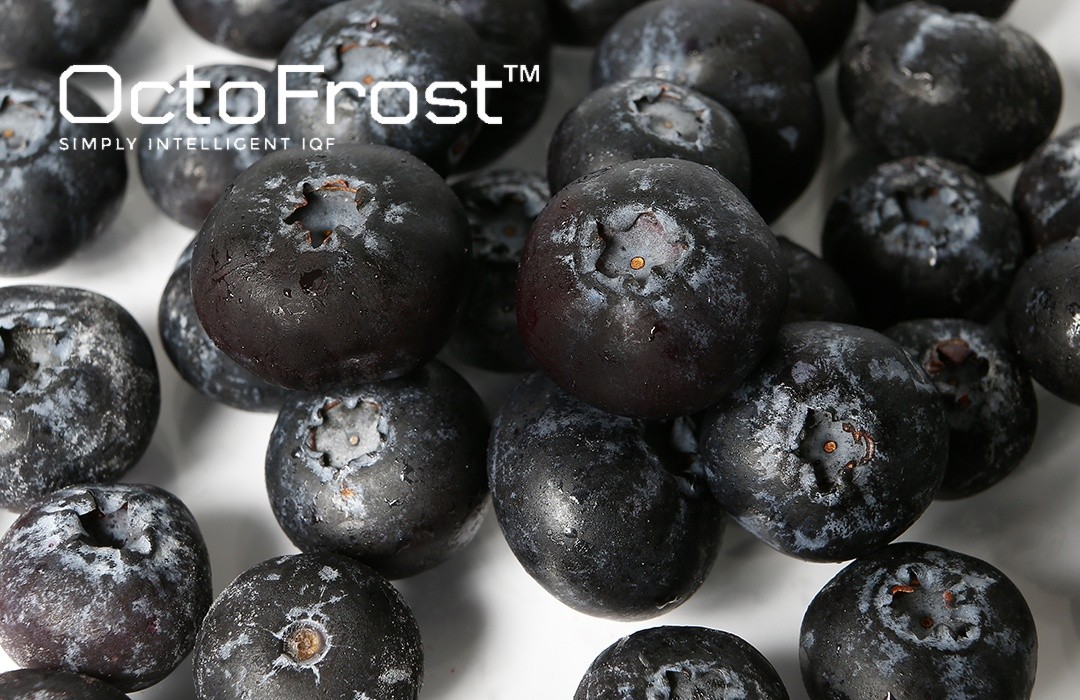 IQF BLUEBERRIES AND COMMON CHALLENGES FOR BLUEBERRY PROCESSORS