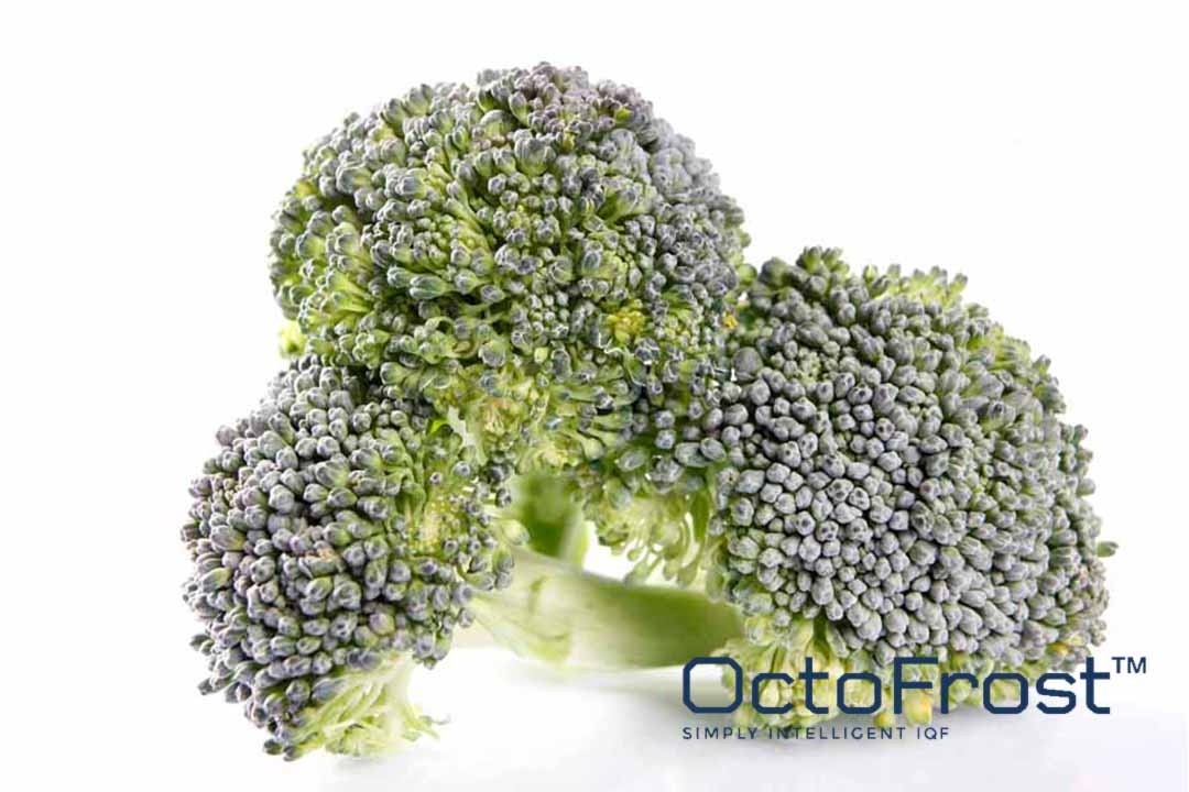 OVERVIEW OF THE WORLD'S FRESH AND FROZEN BROCCOLI MARKET