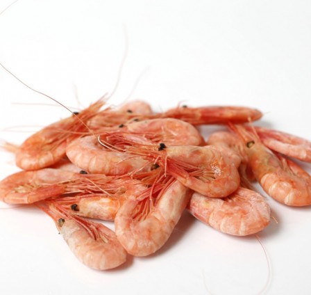 FREEZING SHRIMP - CHALLENGES AND OPPORTUNITIES